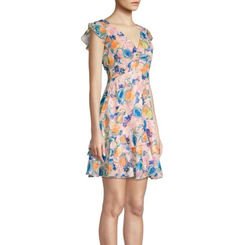Saloni NWT Catia Ruffle Dress